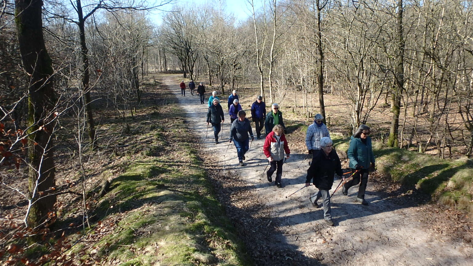 Nordic Walking In Assen Nordic Walking Nordic Walking